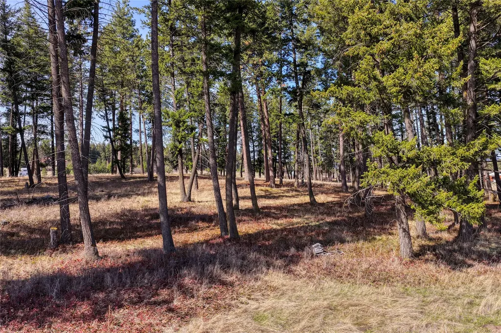 250 Patriots Lane Columbia Falls MT 59912