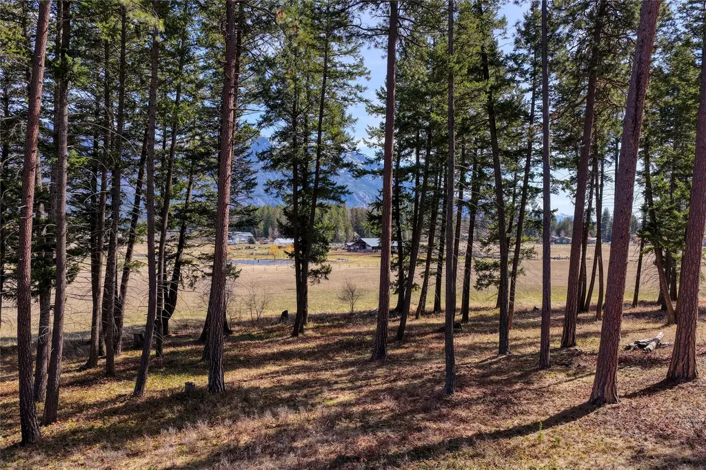 250 Patriots Lane Columbia Falls MT 59912