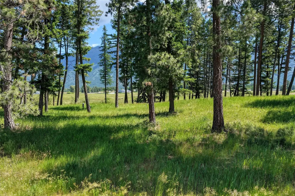 250 Patriots Lane Columbia Falls MT 59912