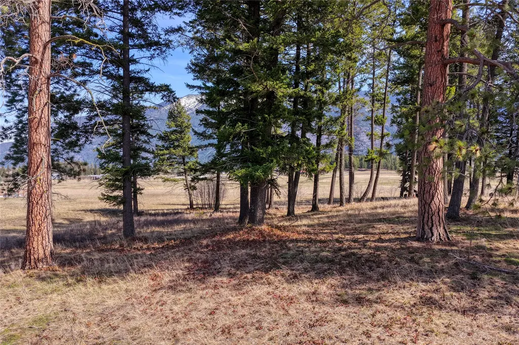 250 Patriots Lane Columbia Falls MT 59912