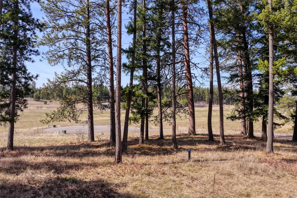 250 Patriots Lane Columbia Falls MT 59912