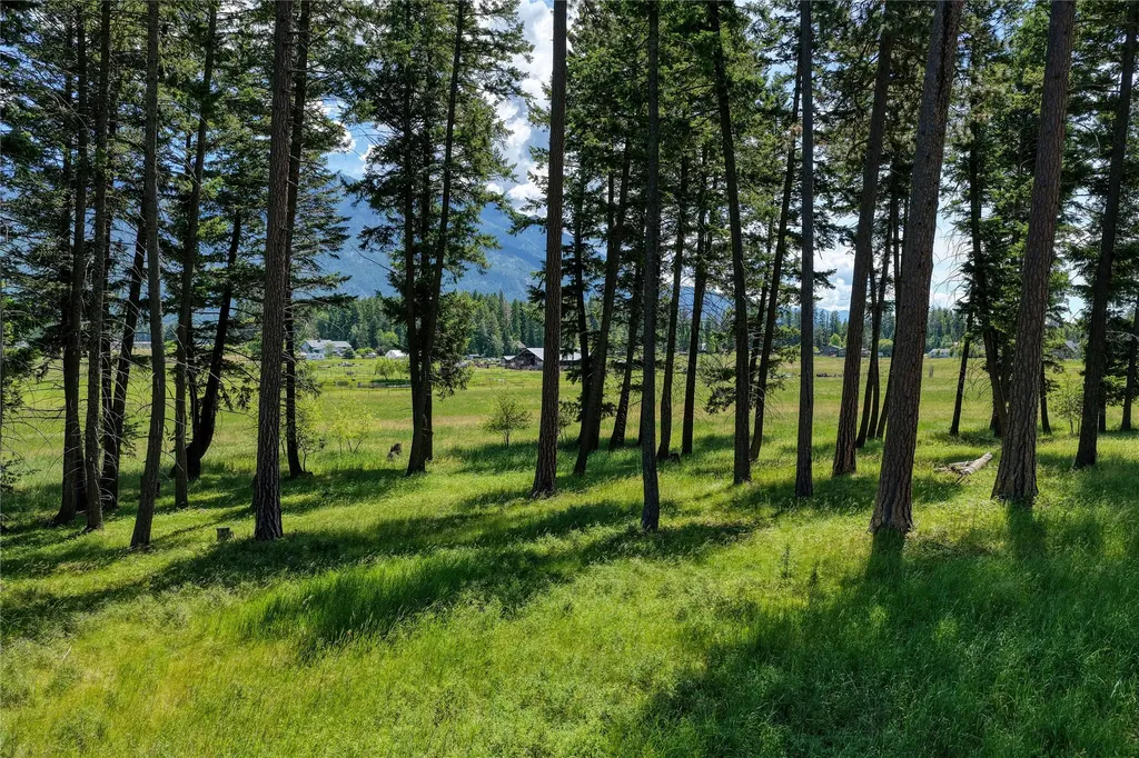 250 Patriots Lane Columbia Falls MT 59912