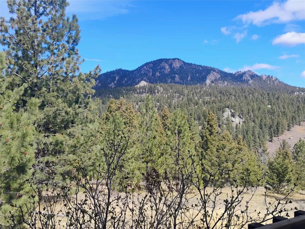 25 Coyote Road Clancy MT 59634