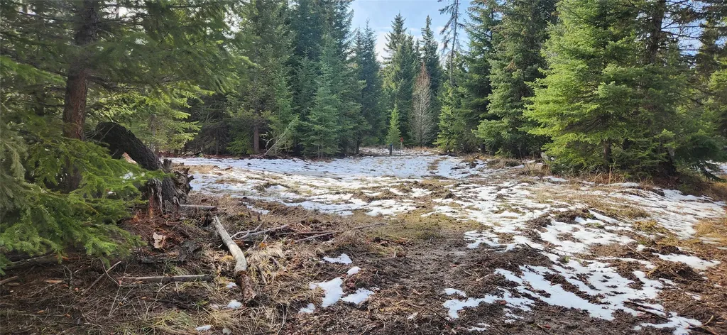 1695 Wild Bill Road Kila MT 59920