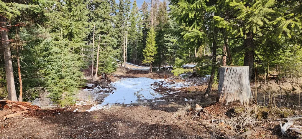 1695 Wild Bill Road Kila MT 59920