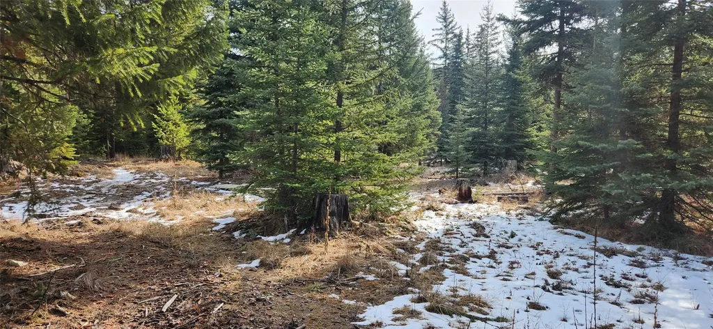 1695 Wild Bill Road Kila MT 59920
