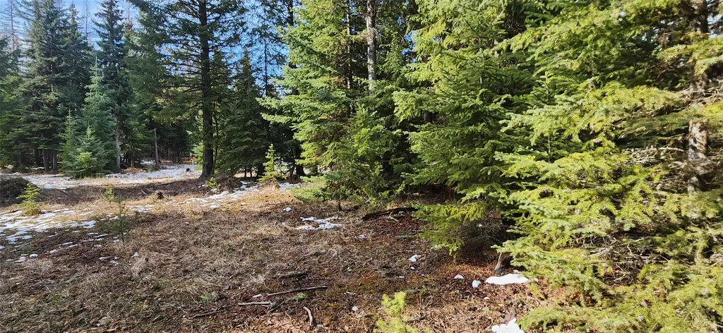 1695 Wild Bill Road Kila MT 59920