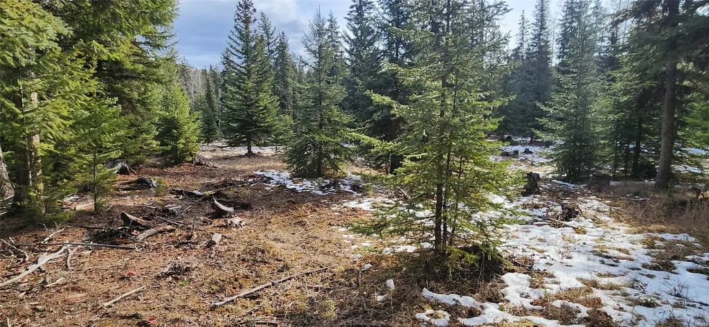 1695 Wild Bill Road Kila MT 59920