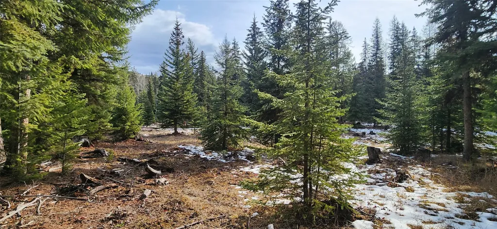 1695 Wild Bill Road Kila MT 59920