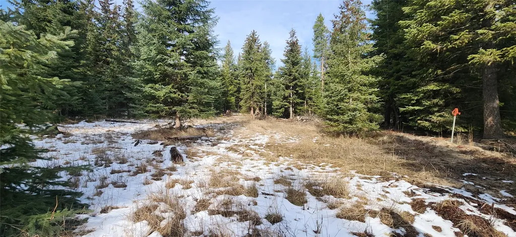 1695 Wild Bill Road Kila MT 59920