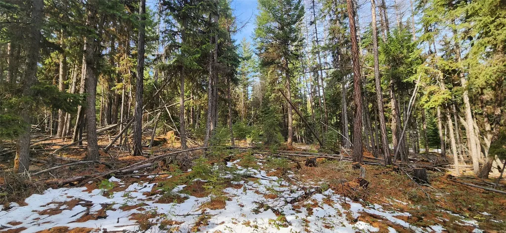 1695 Wild Bill Road Kila MT 59920