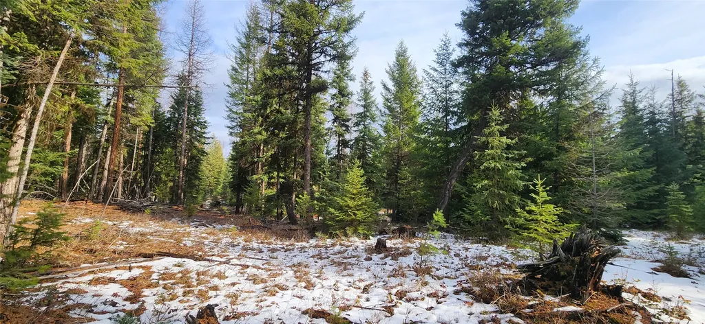 1695 Wild Bill Road Kila MT 59920