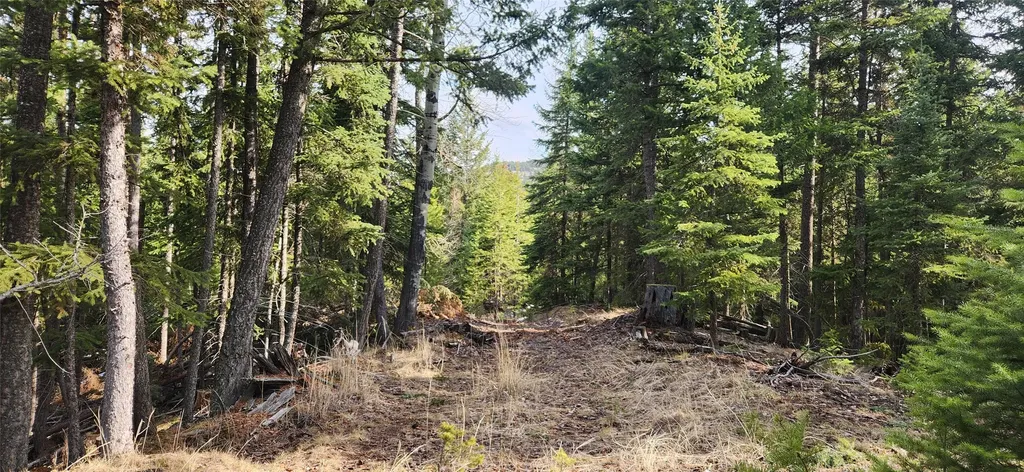 1695 Wild Bill Road Kila MT 59920