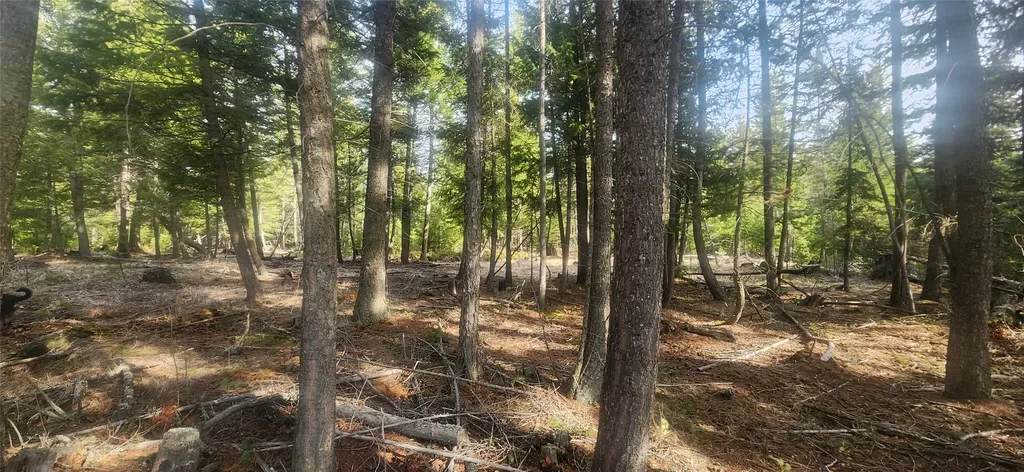 1695 Wild Bill Road Kila MT 59920