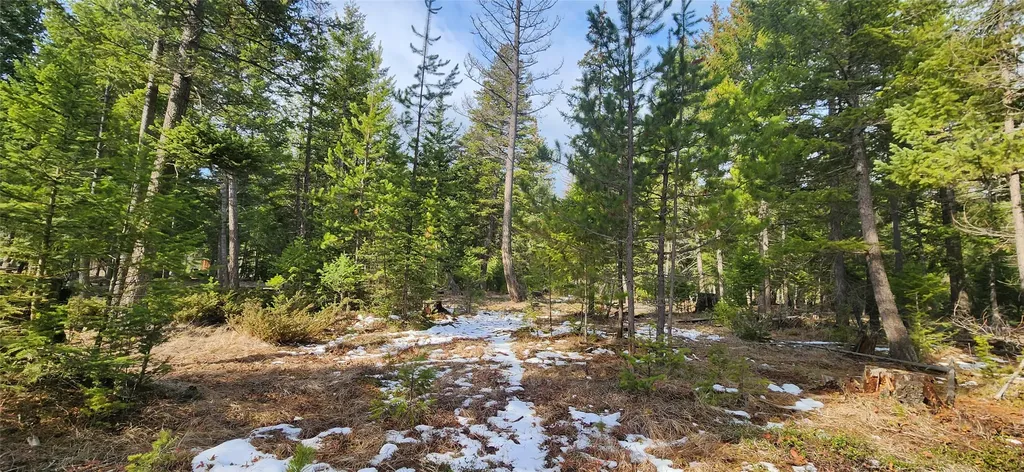 1695 Wild Bill Road Kila MT 59920