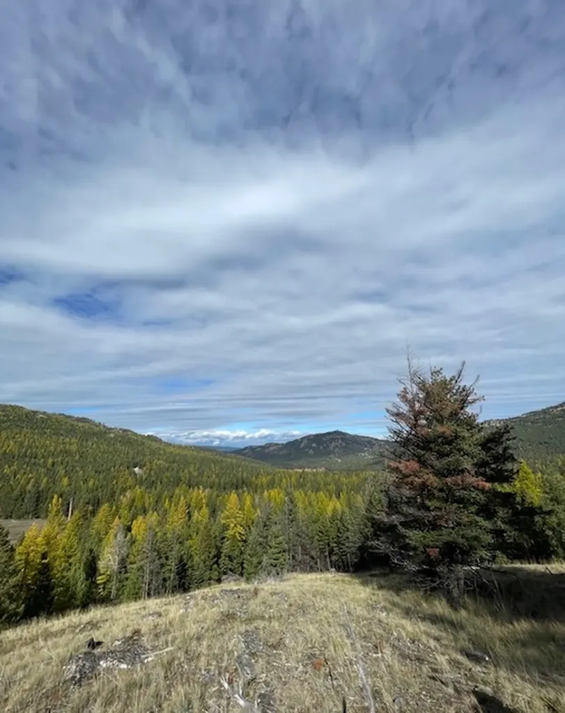 1695 Wild Bill Road Kila MT 59920