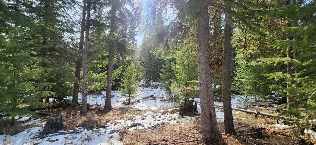 1695 Wild Bill Road Kila MT 59920