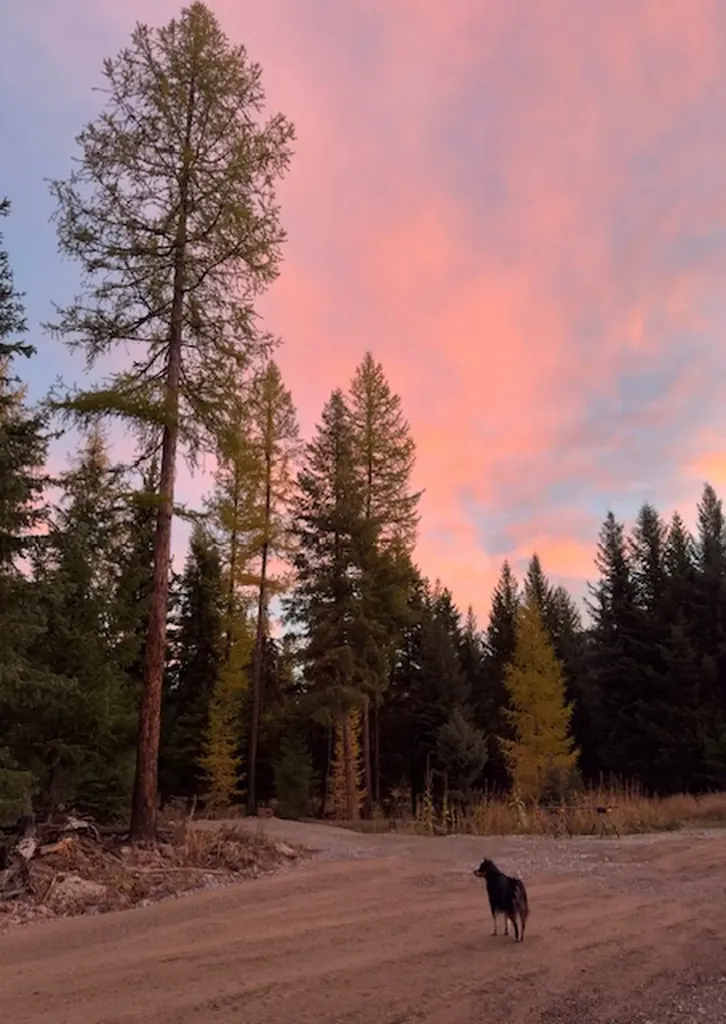 1695 Wild Bill Road Kila MT 59920