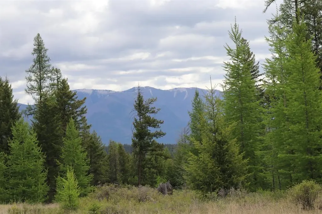 Lot 1a Meadow Springs Fortine MT 59918
