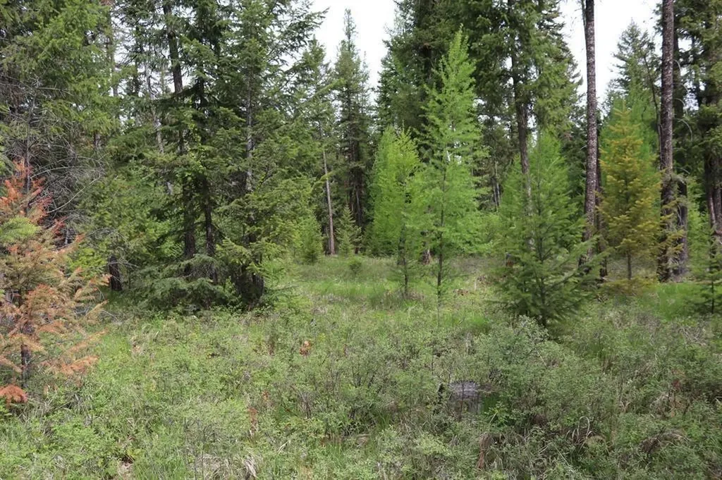 Lot 1a Meadow Springs Fortine MT 59918