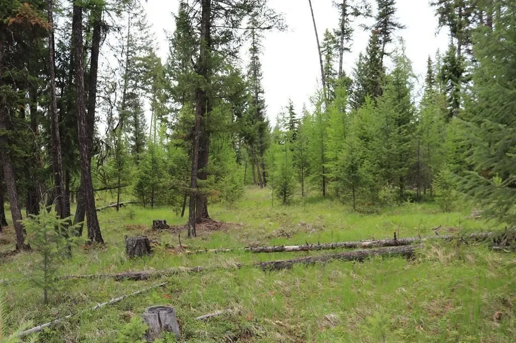 Lot 1a Meadow Springs Fortine MT 59918
