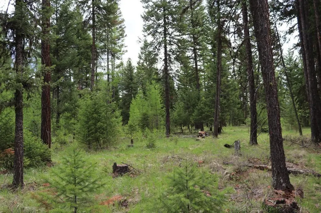 Lot 1a Meadow Springs Fortine MT 59918