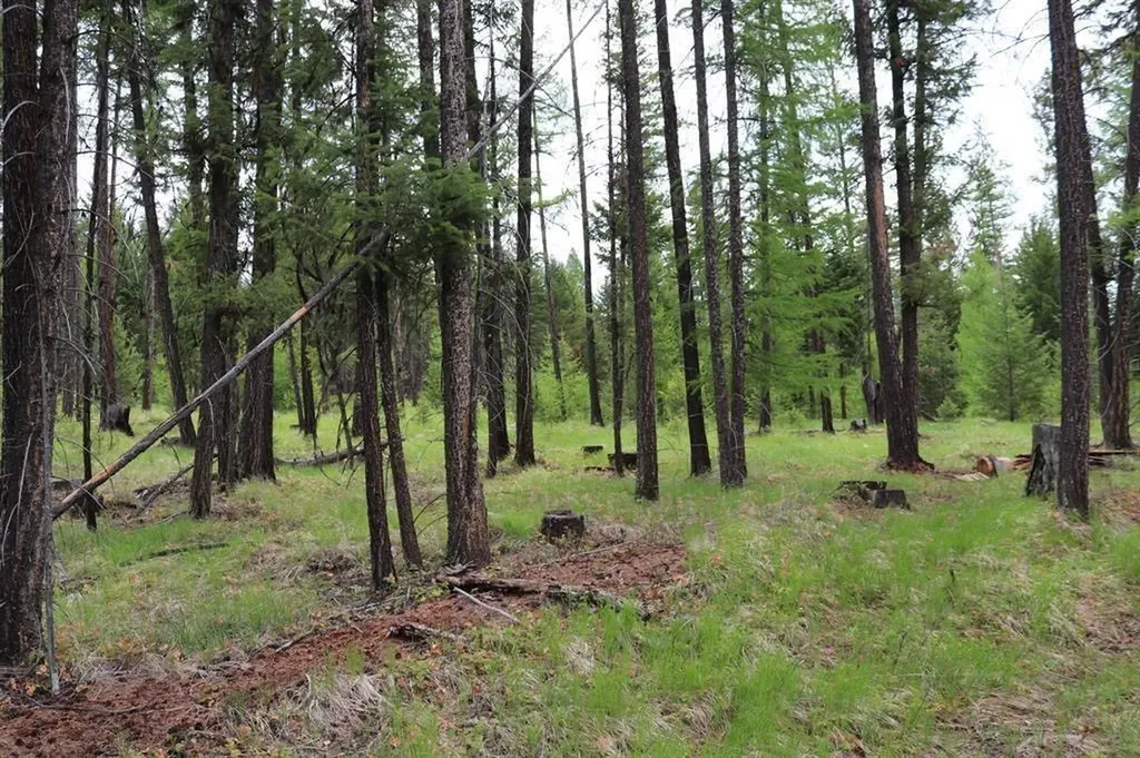 Lot 1a Meadow Springs Fortine MT 59918