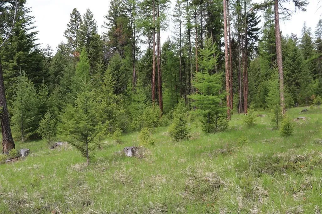 Lot 1a Meadow Springs Fortine MT 59918