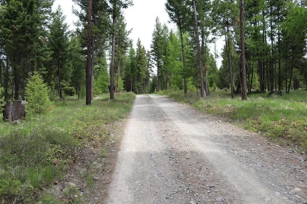 Lot 1a Meadow Springs Fortine MT 59918