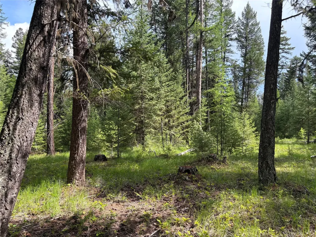 Lot 1a Meadow Springs Fortine MT 59918