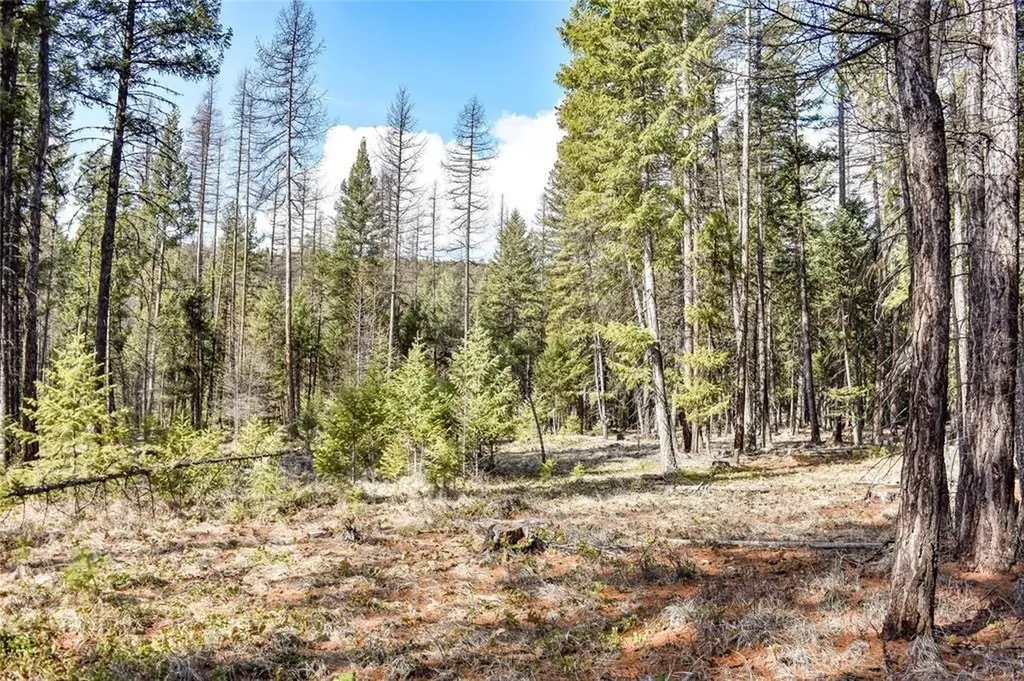 Lot 1a Meadow Springs Fortine MT 59918