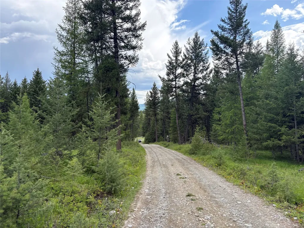 Lot 1a Meadow Springs Fortine MT 59918