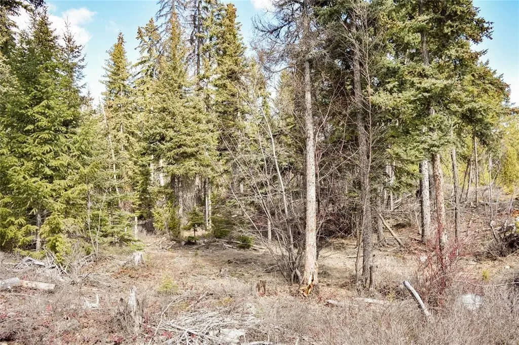Lot 1a Meadow Springs Fortine MT 59918