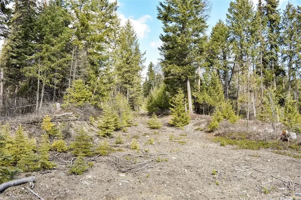 Lot 1a Meadow Springs Fortine MT 59918