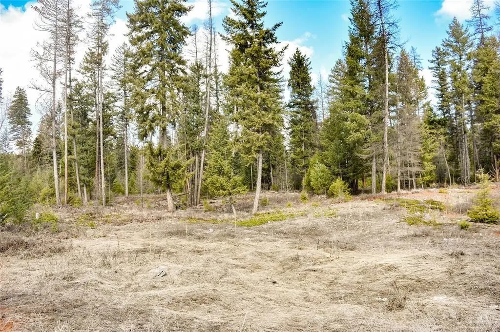Lot 1a Meadow Springs Fortine MT 59918