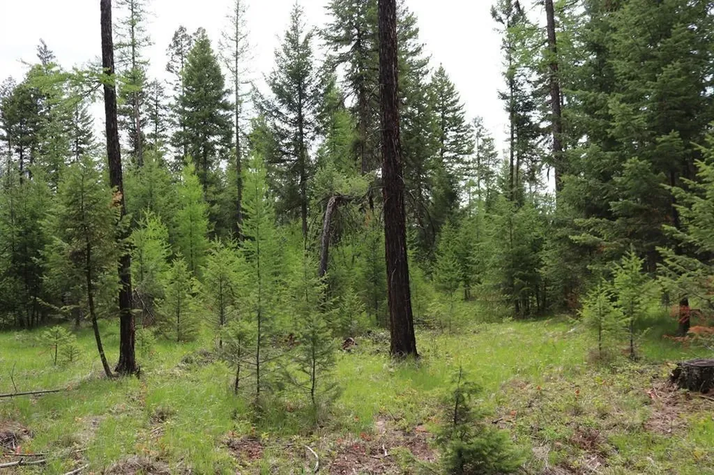 Lot 1a Meadow Springs Fortine MT 59918