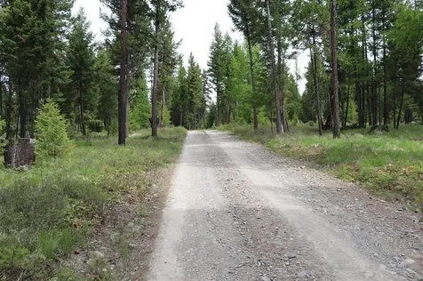 Lot 1A Meadow Springs Fortine MT 59918