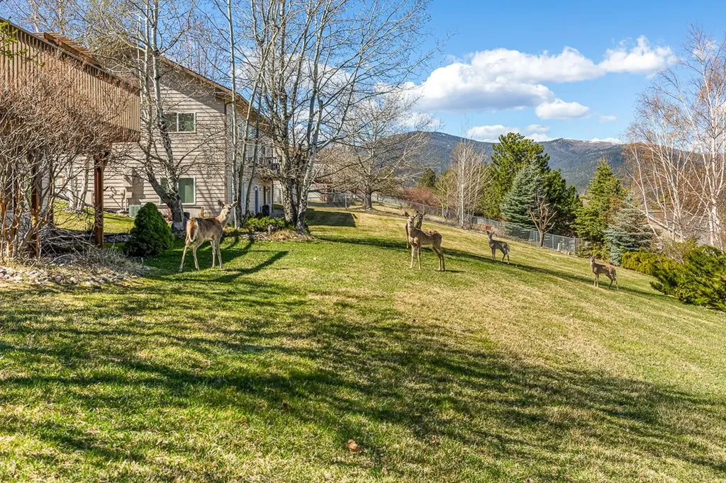 4863 Scott Allen Drive Missoula MT 59803