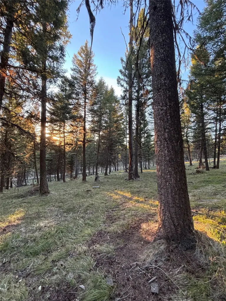 139 Montana View Drive Seeley Lake MT 59868