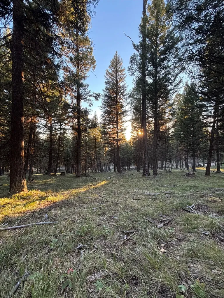 139 Montana View Drive Seeley Lake MT 59868