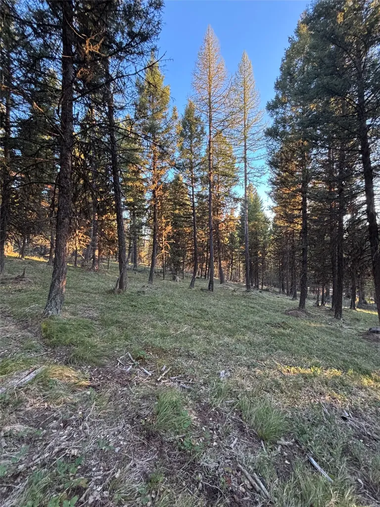 139 Montana View Drive Seeley Lake MT 59868