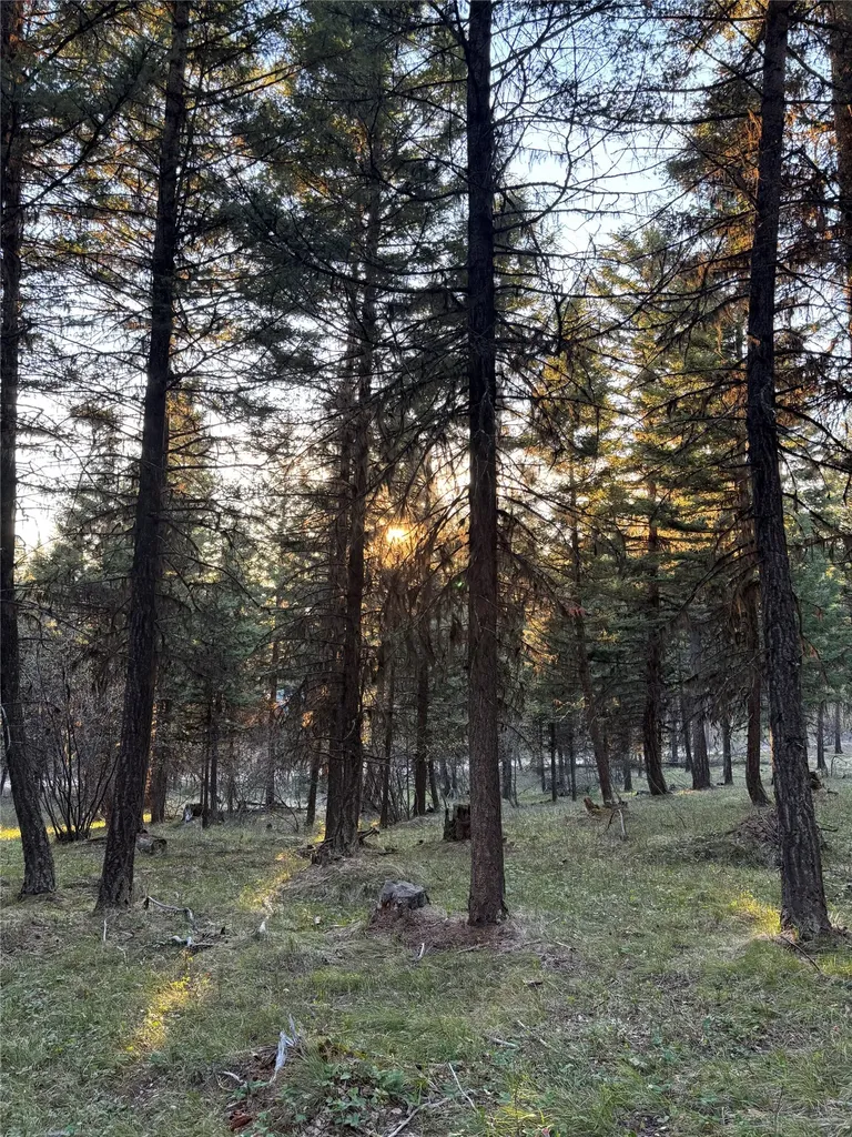 139 Montana View Drive Seeley Lake MT 59868