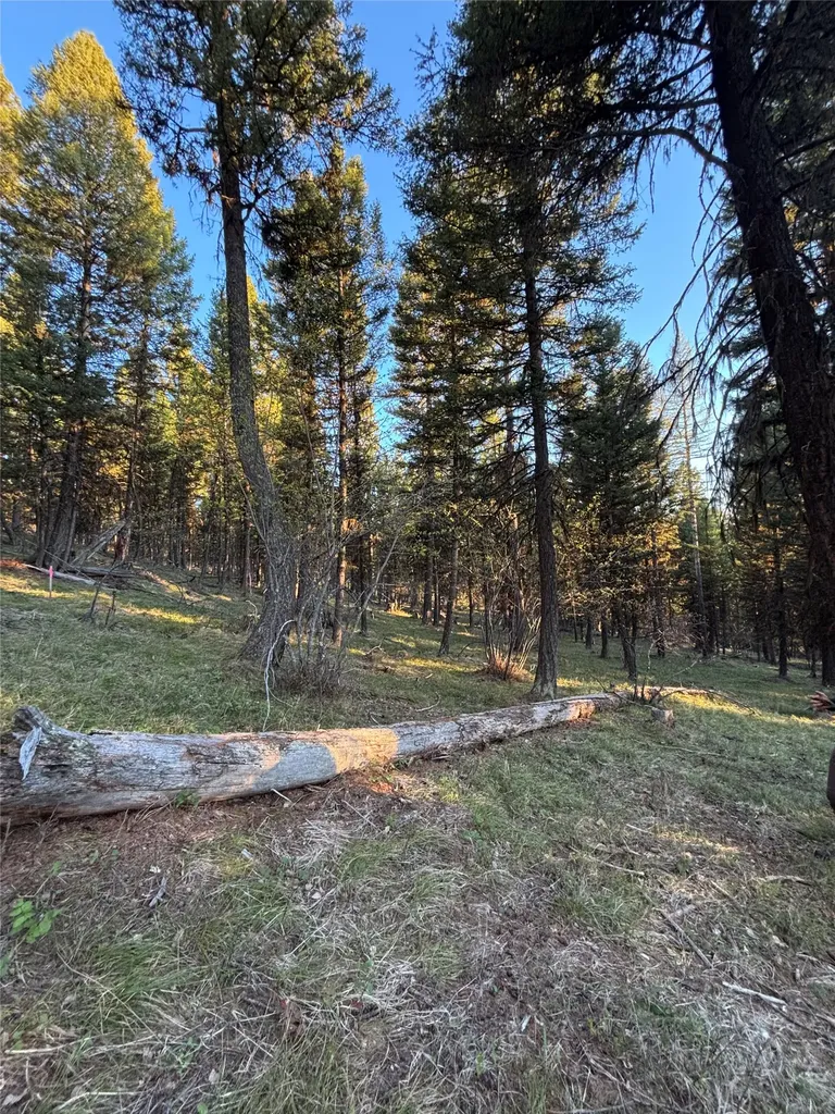 139 Montana View Drive Seeley Lake MT 59868