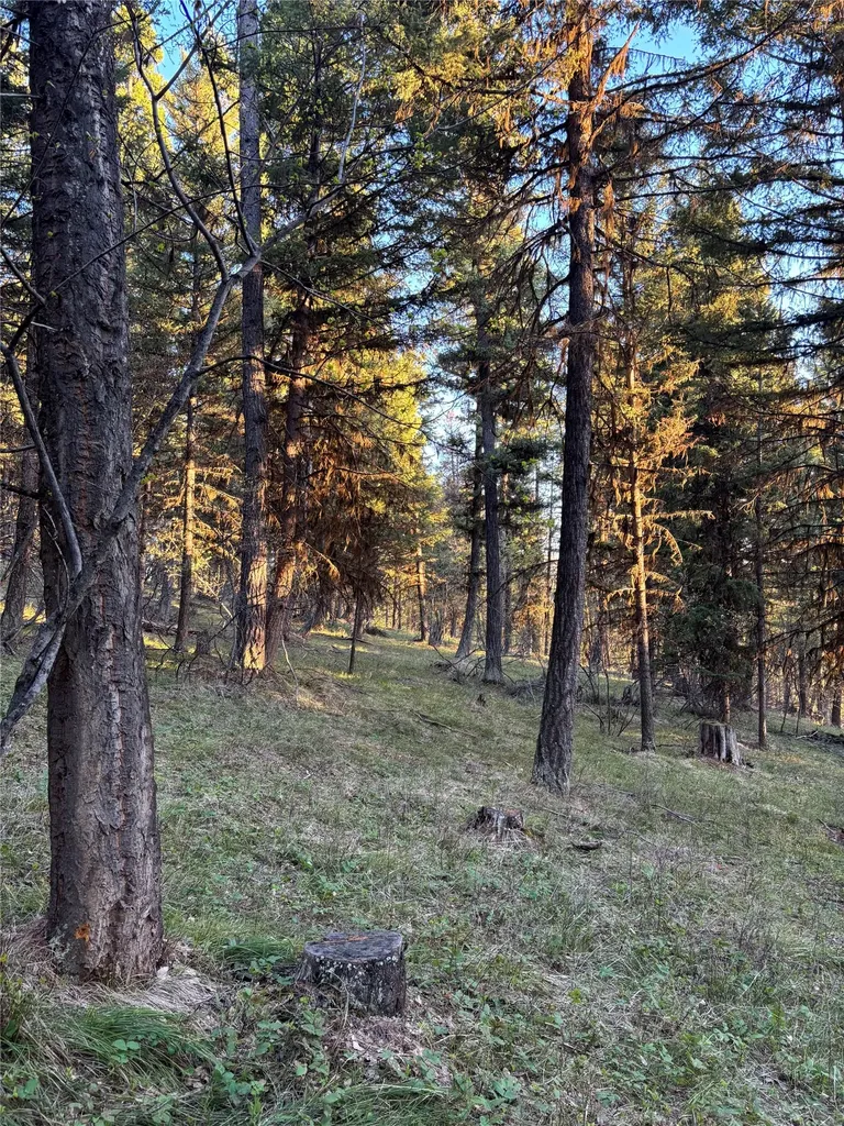 139 Montana View Drive Seeley Lake MT 59868