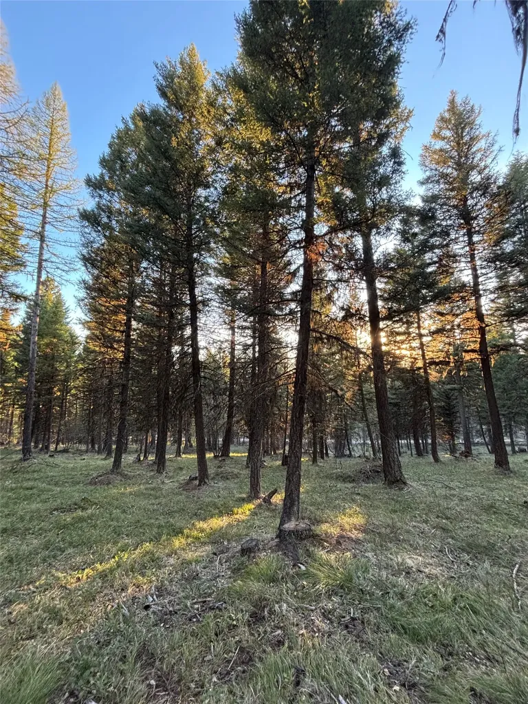 139 Montana View Drive Seeley Lake MT 59868
