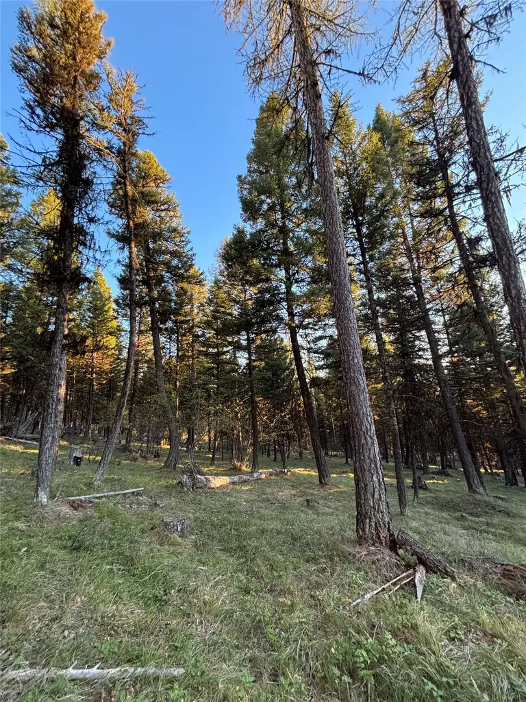139 Montana View Drive Seeley Lake MT 59868