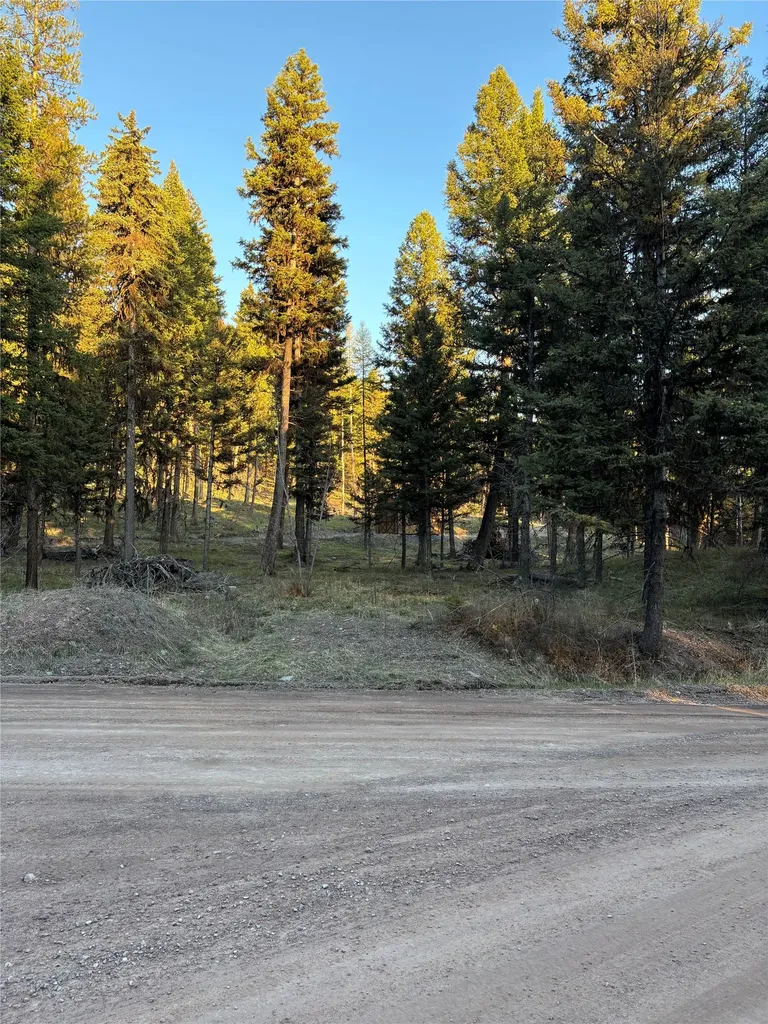 139 Montana View Drive Seeley Lake MT 59868