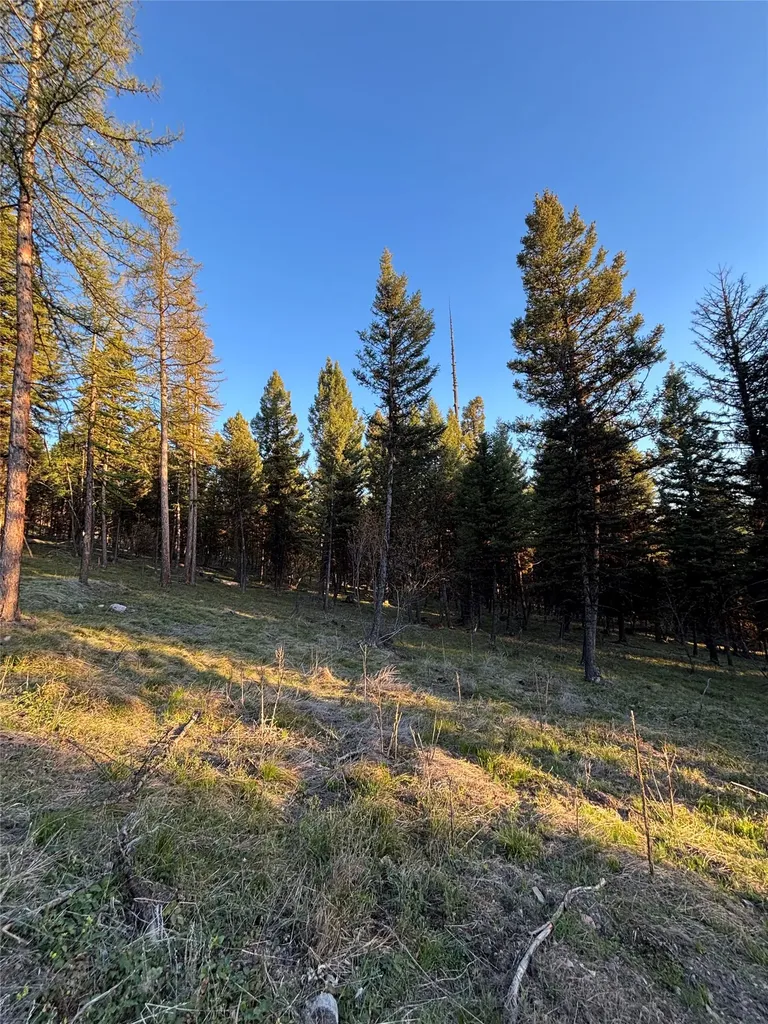 139 Montana View Drive Seeley Lake MT 59868