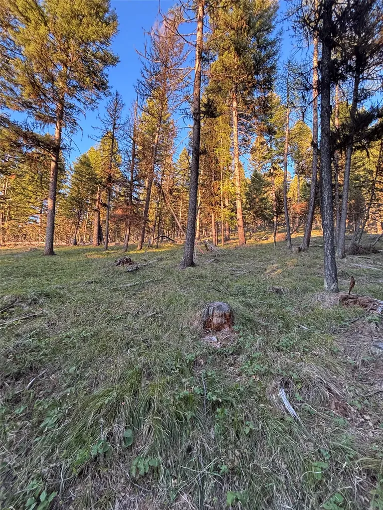 139 Montana View Drive Seeley Lake MT 59868