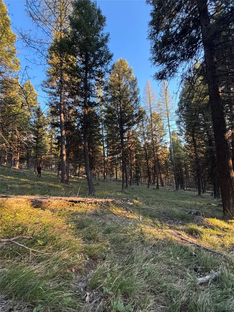 139 Montana View Drive Seeley Lake MT 59868